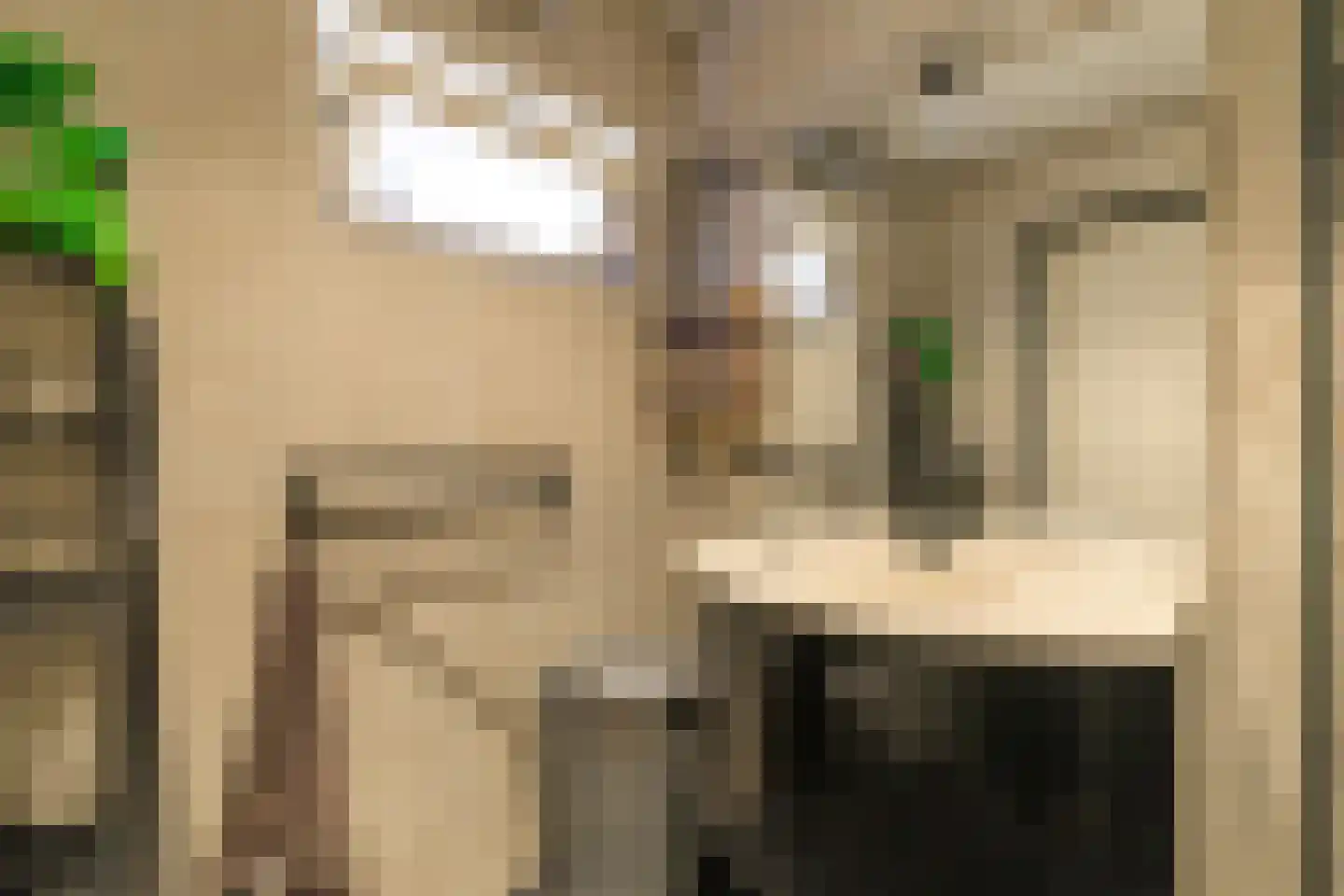 Hammerstraat 4 Vroomshoop thumbnail 12