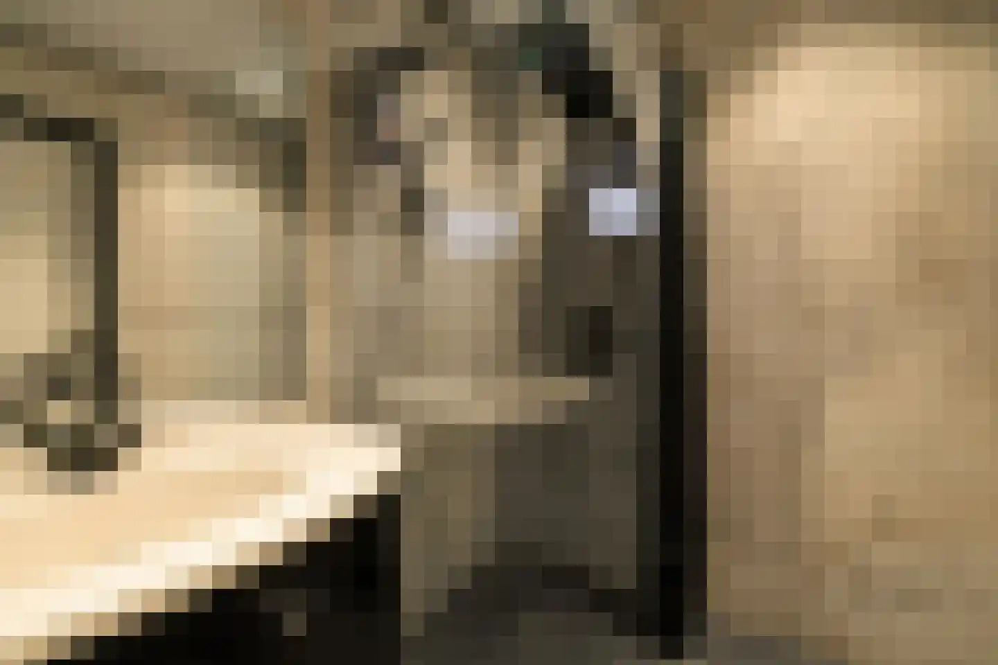 Hammerstraat 4 Vroomshoop thumbnail 13