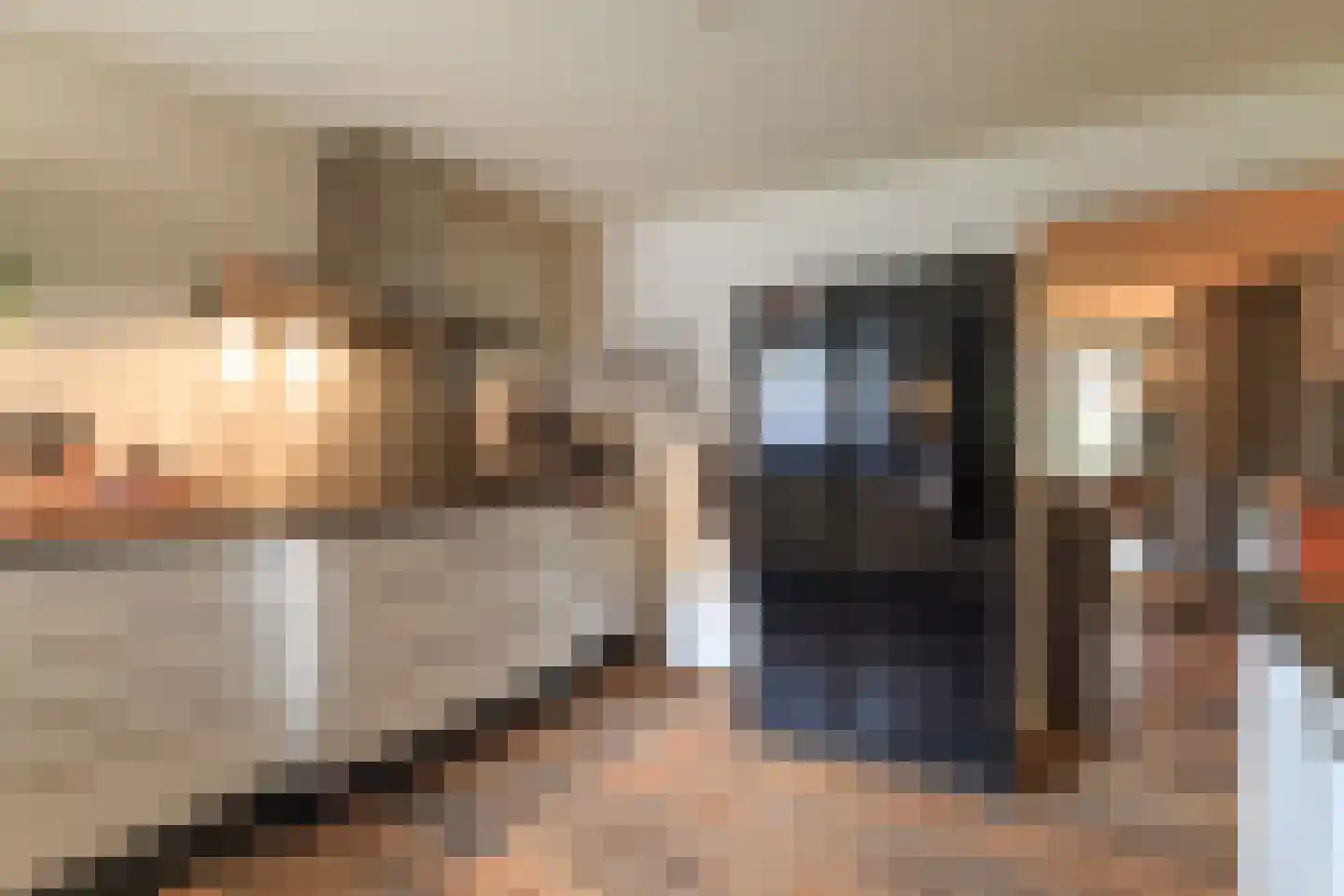 Hammerstraat 4 Vroomshoop thumbnail 15