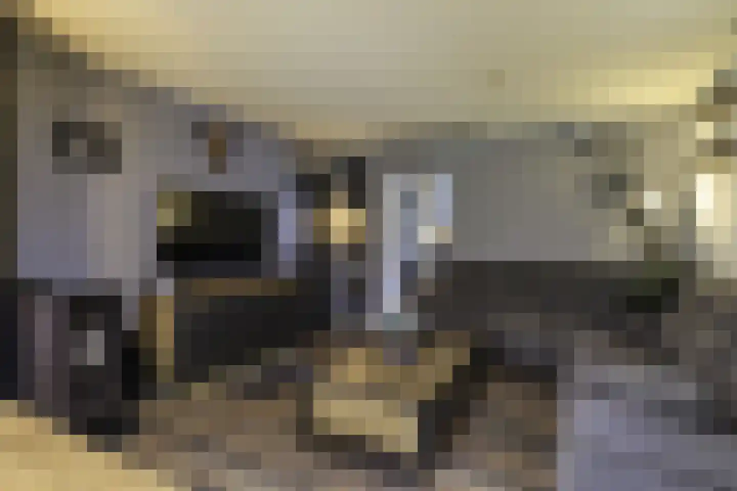 Hammerstraat 4 Vroomshoop thumbnail 17
