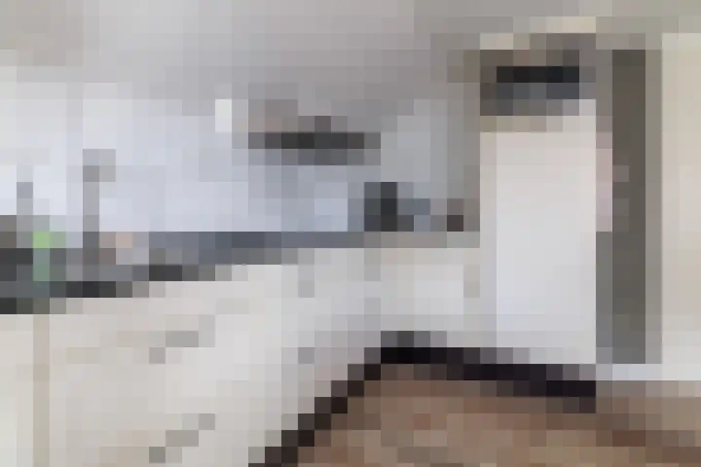 Hammerstraat 4 Vroomshoop thumbnail 25