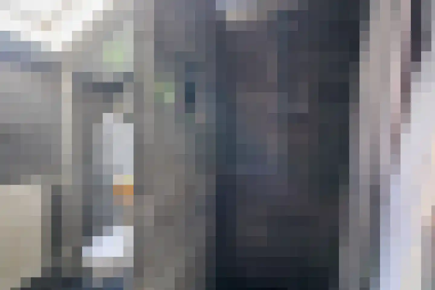 Hammerstraat 4 Vroomshoop thumbnail 27