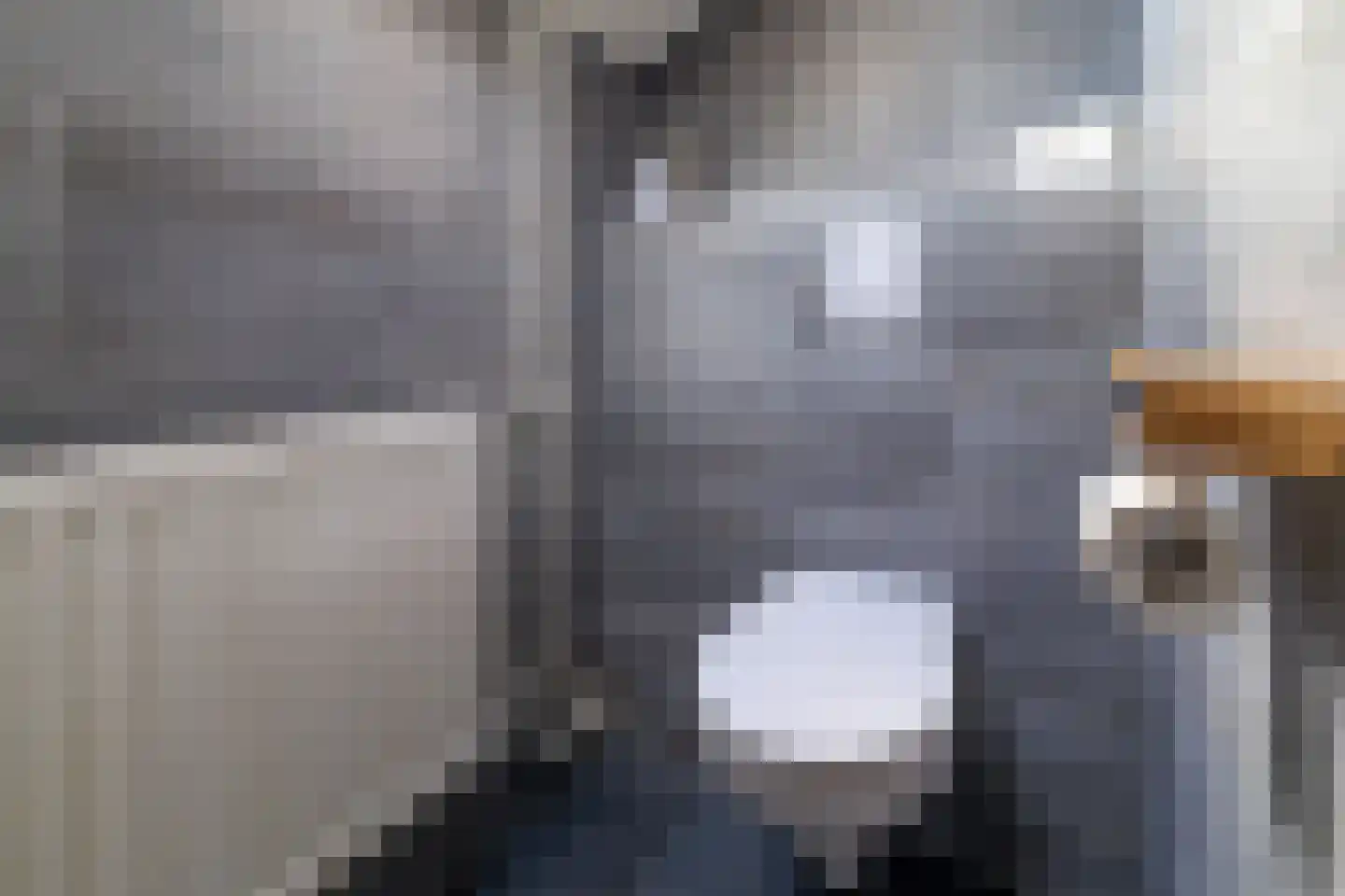 Hammerstraat 4 Vroomshoop thumbnail 28
