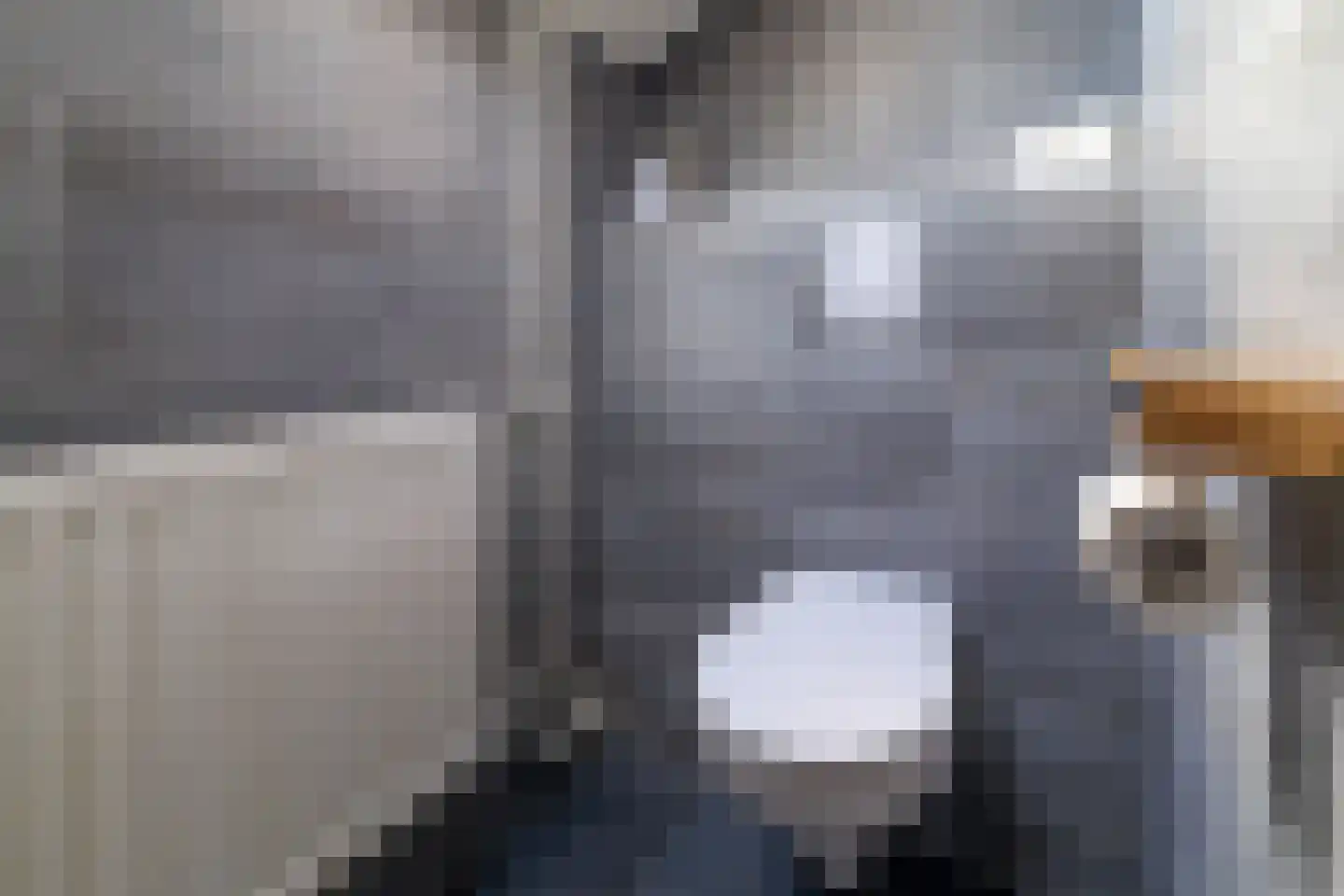 Hammerstraat 4 Vroomshoop thumbnail 28