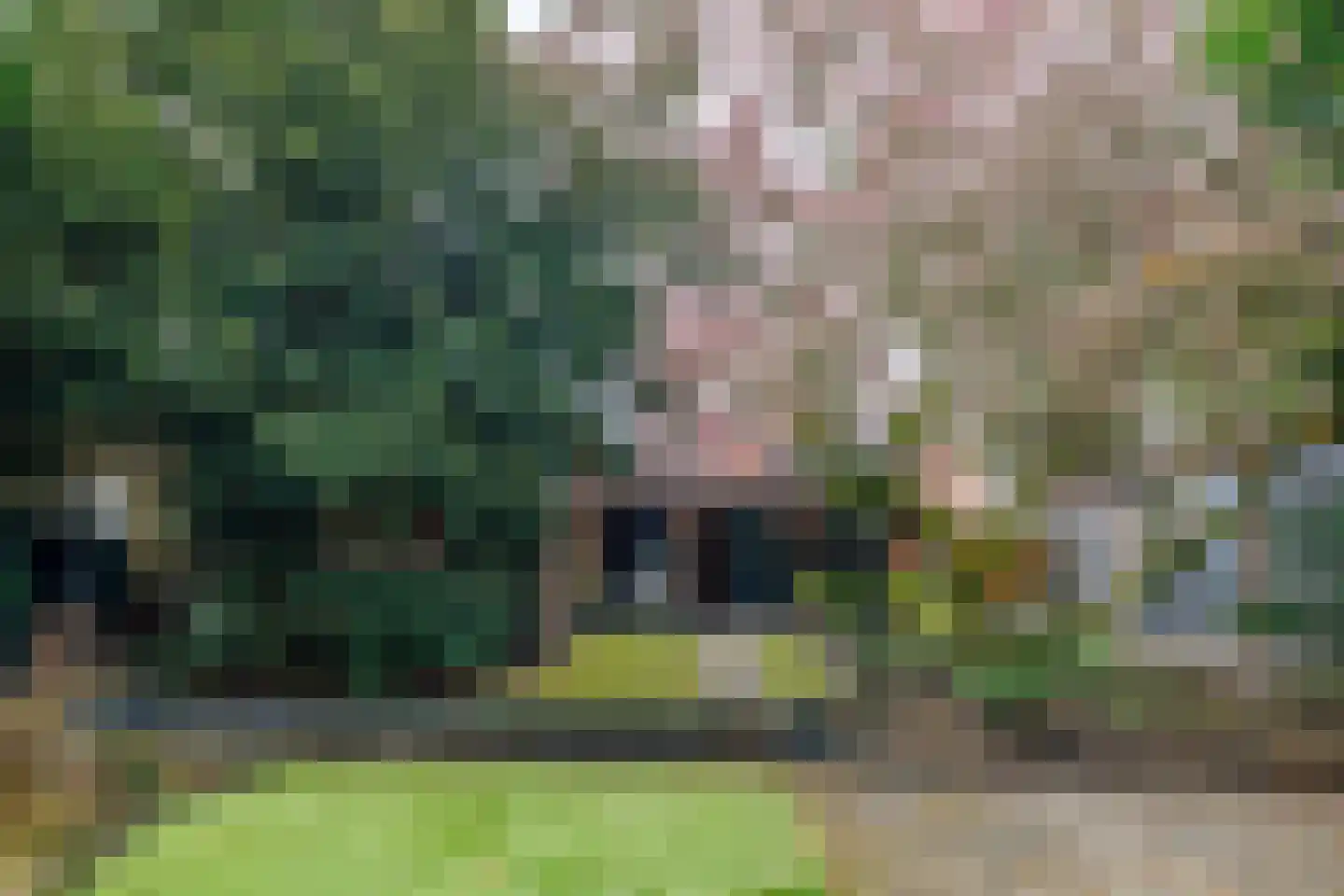 Hammerstraat 4 Vroomshoop thumbnail 30