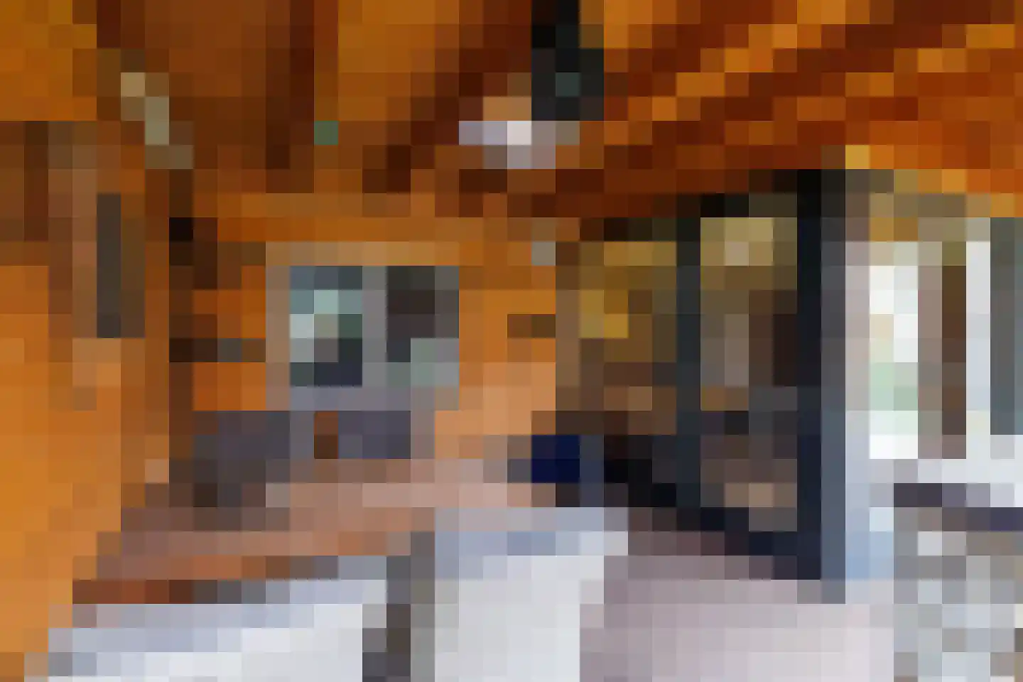 Hammerstraat 4 Vroomshoop thumbnail 33