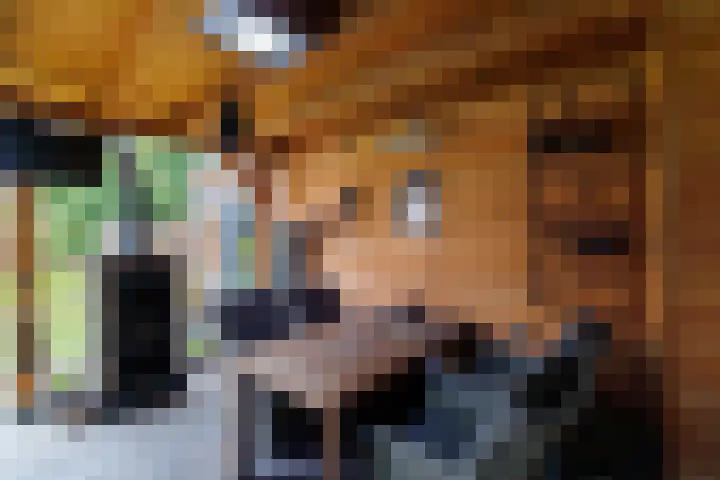 Hammerstraat 4 Vroomshoop thumbnail 34