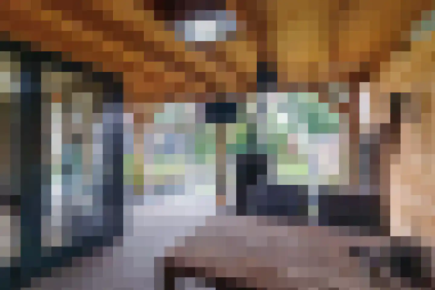Hammerstraat 4 Vroomshoop thumbnail 35