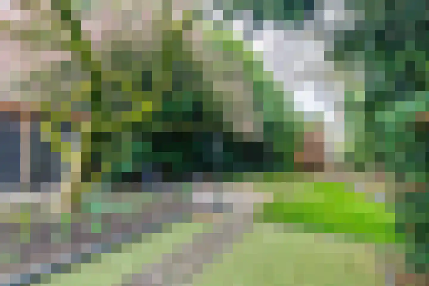 Hammerstraat 4 Vroomshoop thumbnail 38