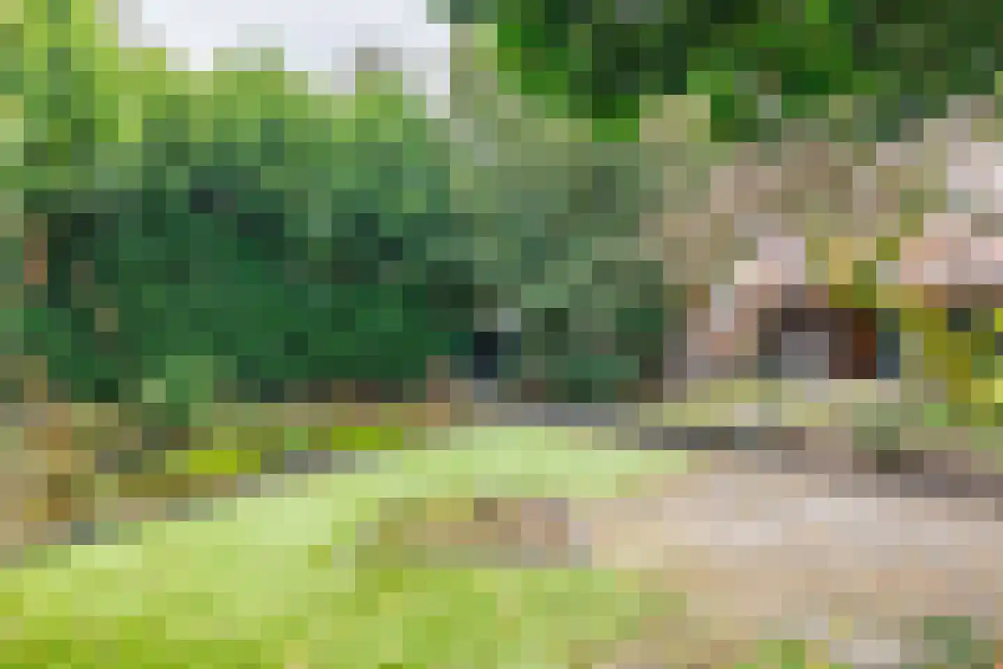 Hammerstraat 4 Vroomshoop thumbnail 40