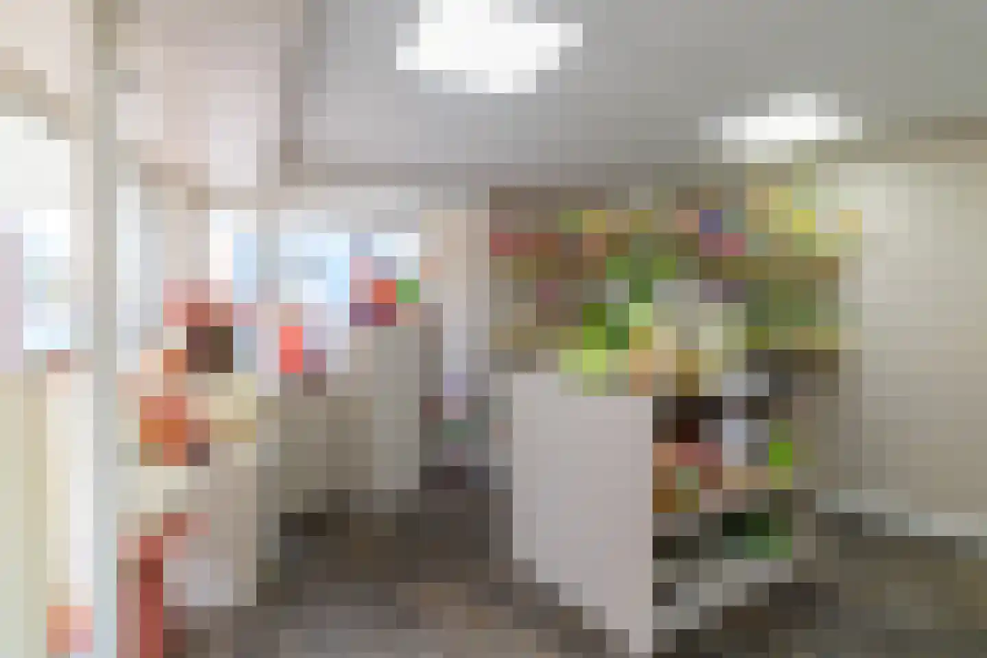 Hammerstraat 4 Vroomshoop thumbnail 5
