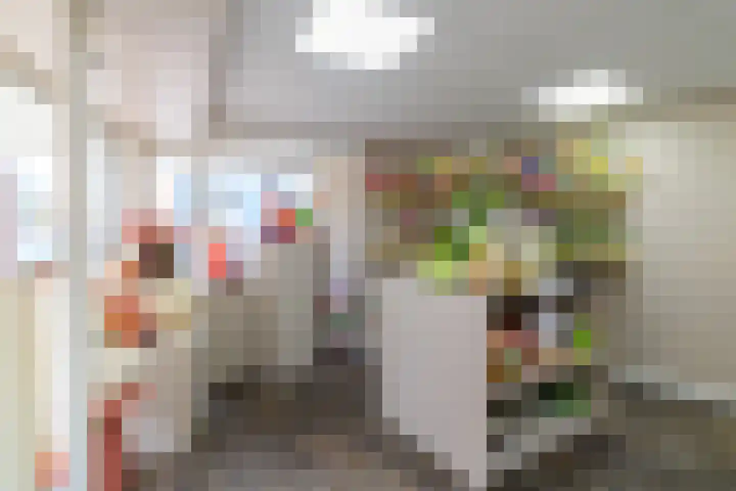 Hammerstraat 4 Vroomshoop thumbnail 5