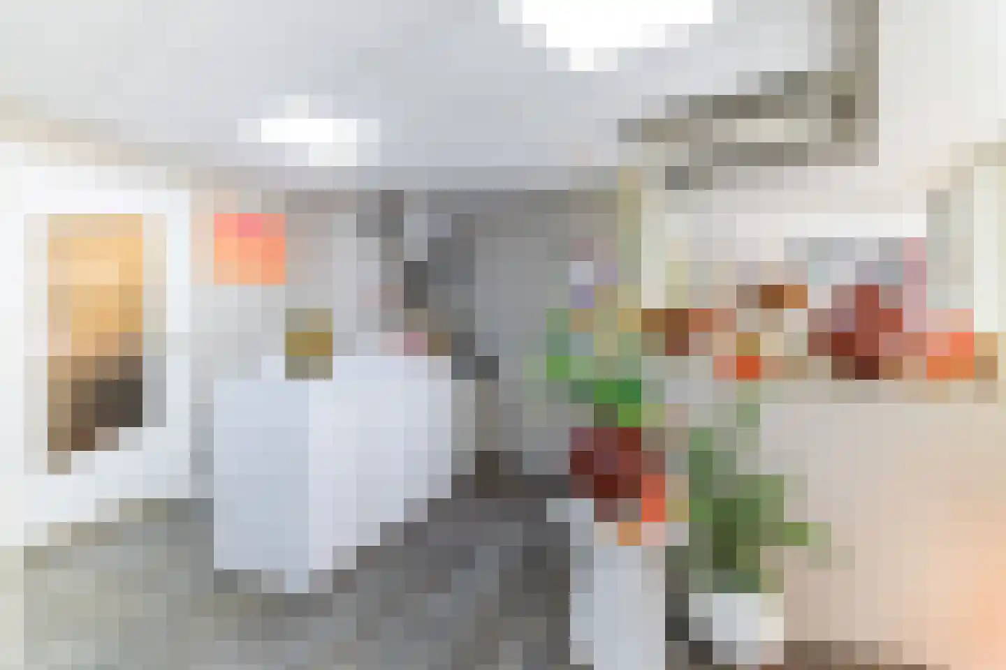 Hammerstraat 4 Vroomshoop thumbnail 7