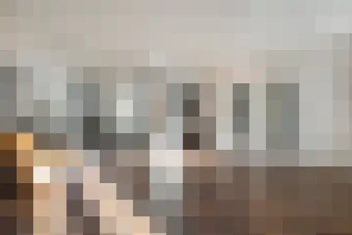Hammerstraat 7 Vroomshoop thumbnail 13
