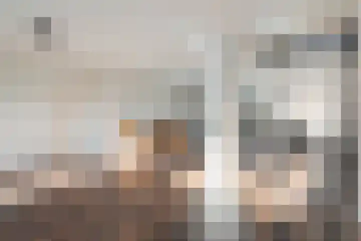 Hammerstraat 7 Vroomshoop thumbnail 14