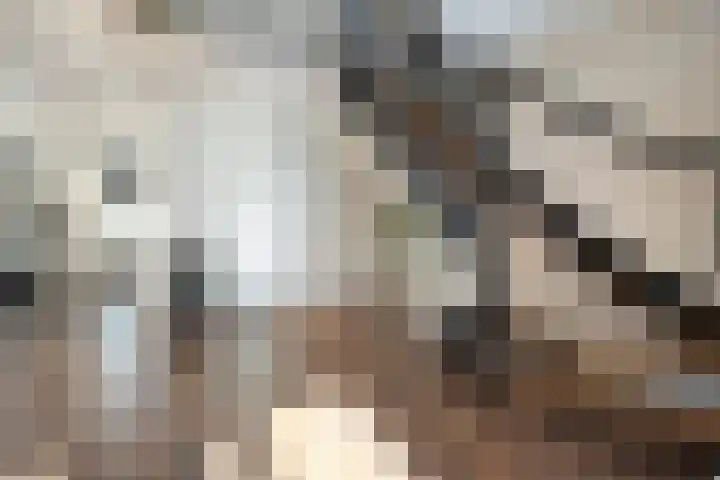 Hammerstraat 7 Vroomshoop thumbnail 15