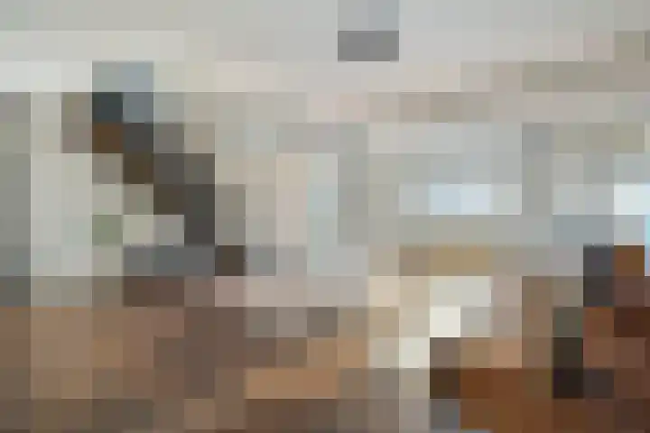Hammerstraat 7 Vroomshoop thumbnail 16