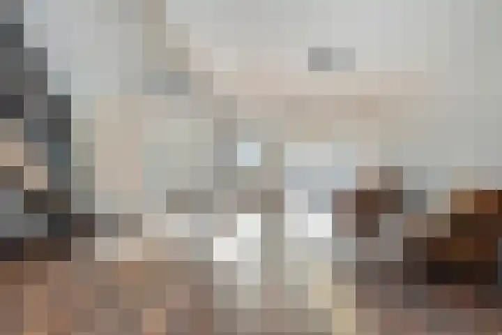 Hammerstraat 7 Vroomshoop thumbnail 17