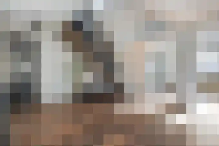 Hammerstraat 7 Vroomshoop thumbnail 18