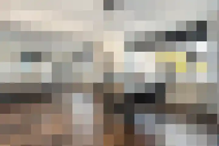 Hammerstraat 7 Vroomshoop thumbnail 19