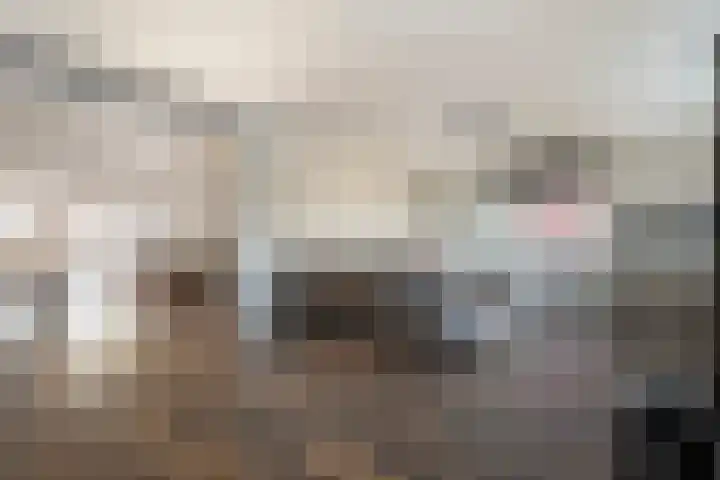 Hammerstraat 7 Vroomshoop thumbnail 20