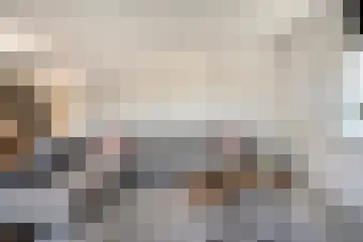 Hammerstraat 7 Vroomshoop thumbnail 21