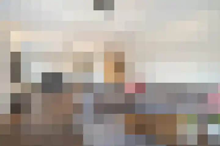 Hammerstraat 7 Vroomshoop thumbnail 22