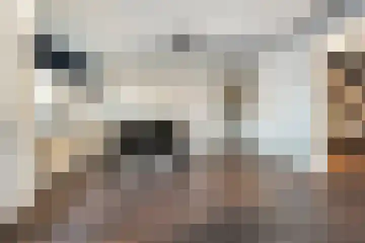 Hammerstraat 7 Vroomshoop thumbnail 23