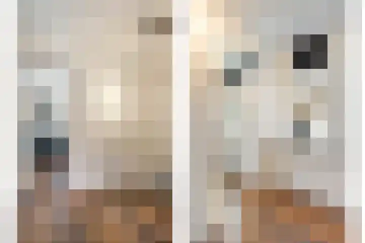 Hammerstraat 7 Vroomshoop thumbnail 26