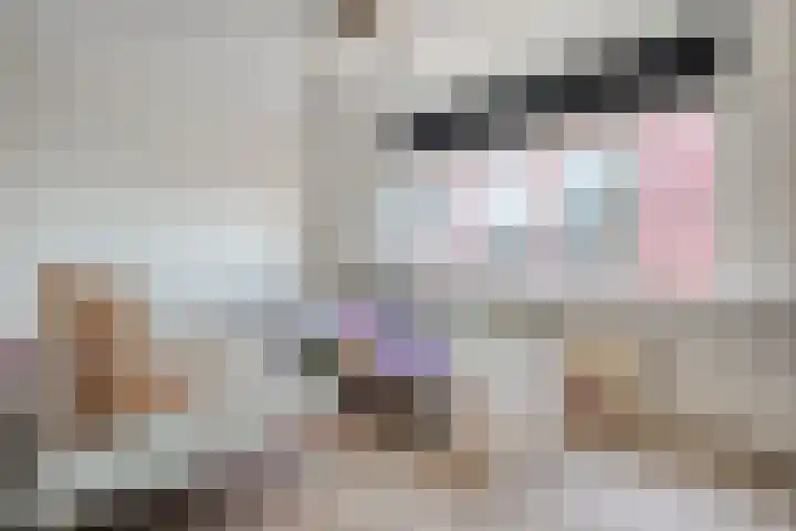 Hammerstraat 7 Vroomshoop thumbnail 31