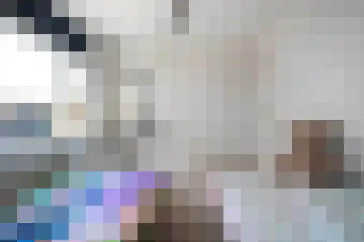 Hammerstraat 7 Vroomshoop thumbnail 32