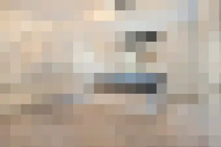 Hammerstraat 7 Vroomshoop thumbnail 34