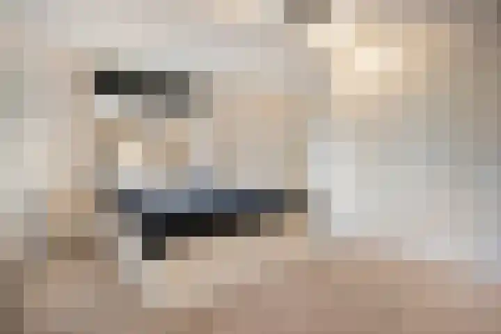 Hammerstraat 7 Vroomshoop thumbnail 35