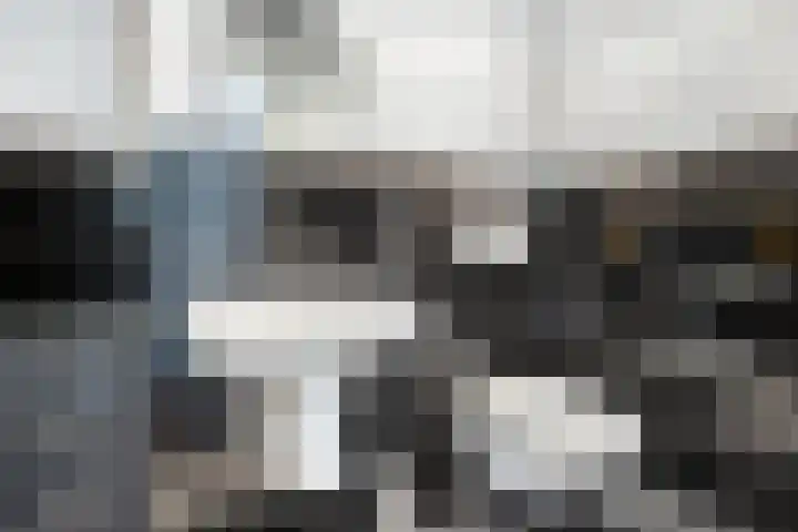 Hammerstraat 7 Vroomshoop thumbnail 37
