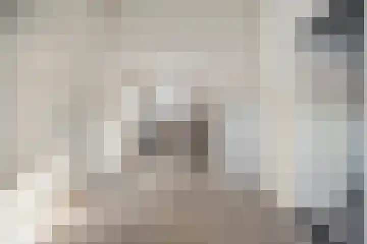 Hammerstraat 7 Vroomshoop thumbnail 39