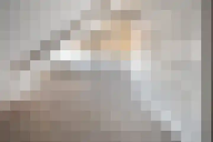 Hammerstraat 7 Vroomshoop thumbnail 41