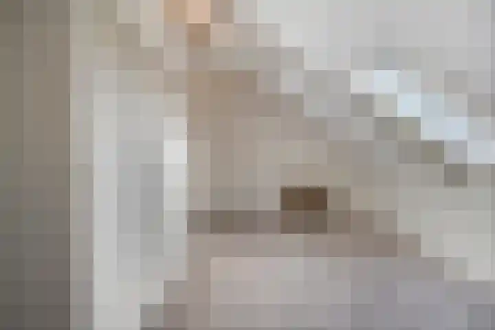 Hammerstraat 7 Vroomshoop thumbnail 42