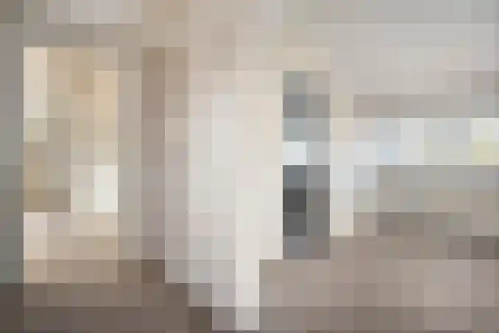 Hammerstraat 7 Vroomshoop thumbnail 43