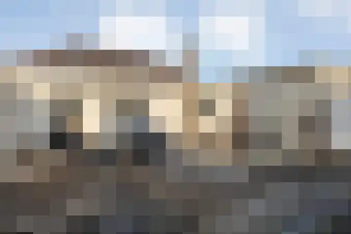 Hammerstraat 7 Vroomshoop thumbnail 45