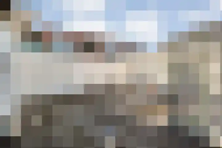 Hammerstraat 7 Vroomshoop thumbnail 47