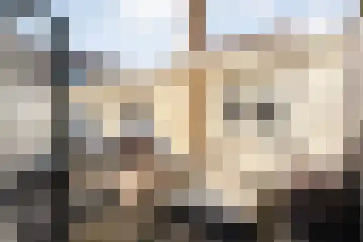 Hammerstraat 7 Vroomshoop thumbnail 49