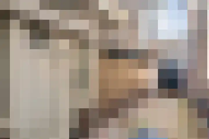 Hammerstraat 7 Vroomshoop thumbnail 9
