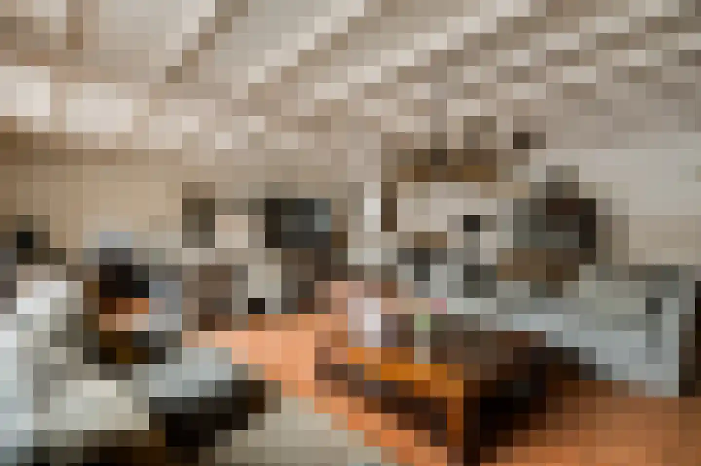 Hammerstraat 8 Herkenbosch thumbnail 10