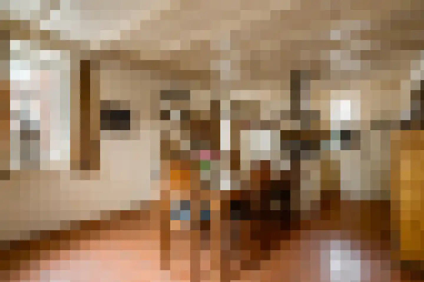 Hammerstraat 8 Herkenbosch thumbnail 11