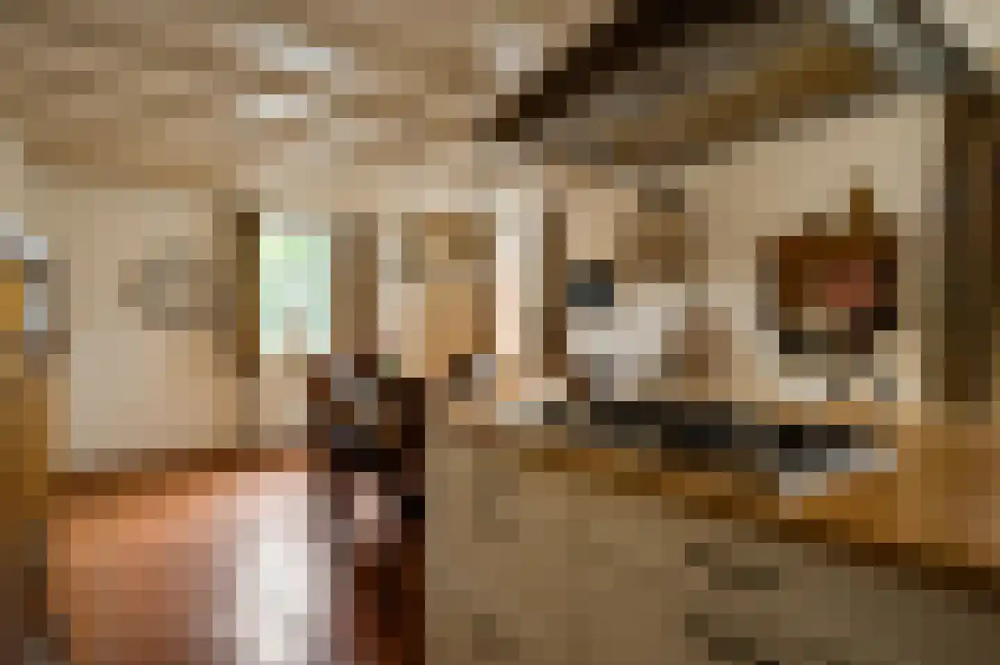Hammerstraat 8 Herkenbosch thumbnail 12