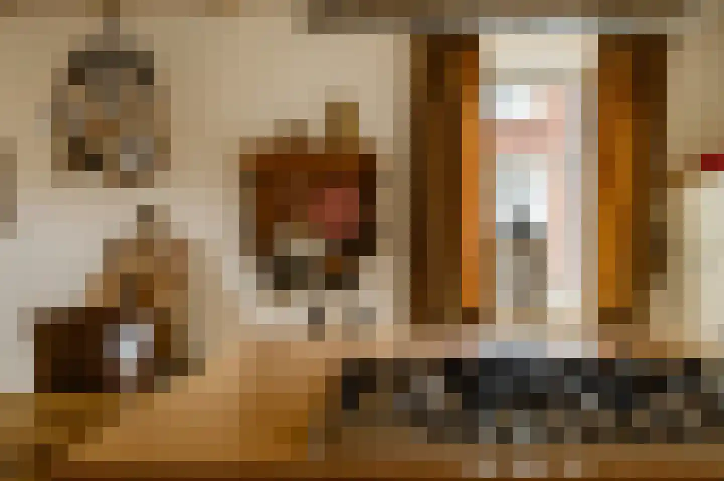 Hammerstraat 8 Herkenbosch thumbnail 13