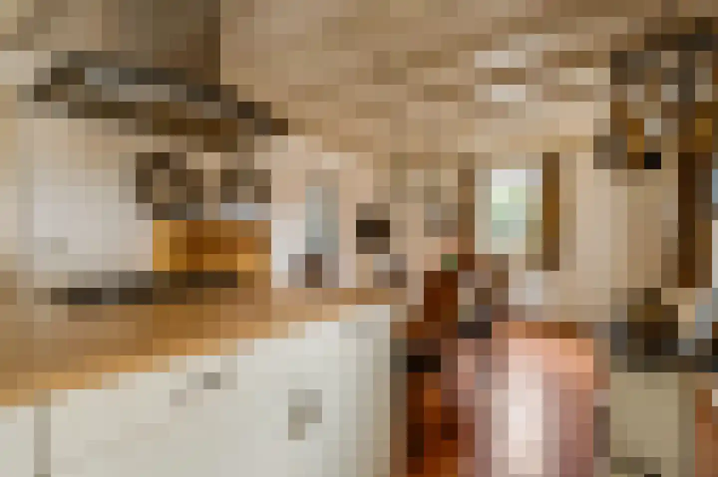 Hammerstraat 8 Herkenbosch thumbnail 14