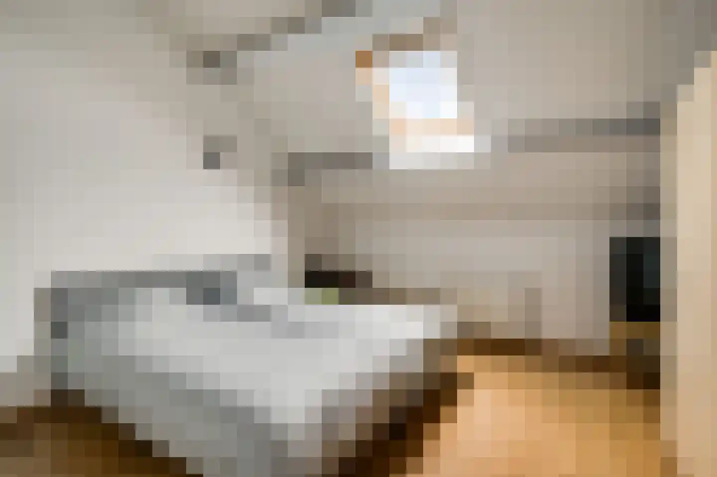 Hammerstraat 8 Herkenbosch thumbnail 18