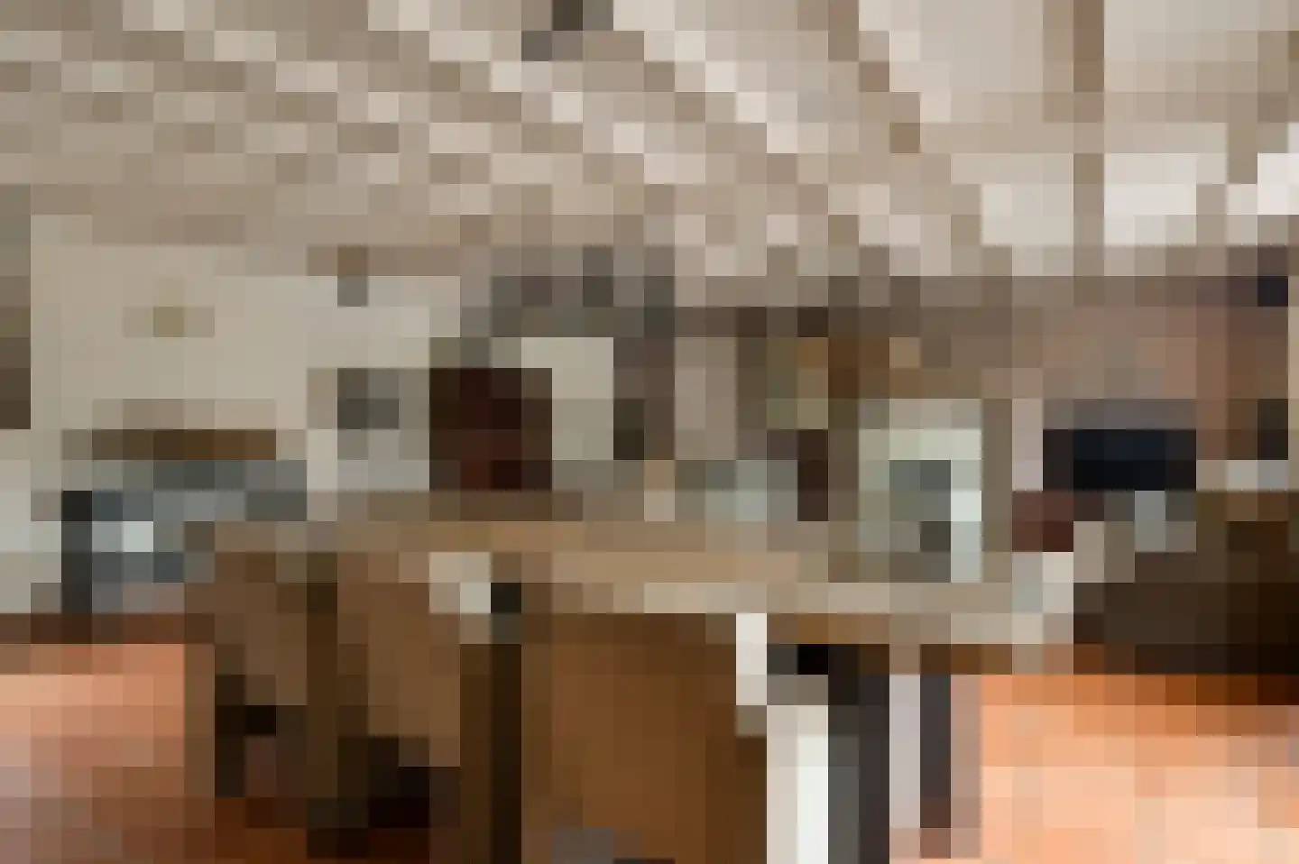 Hammerstraat 8 Herkenbosch thumbnail 7
