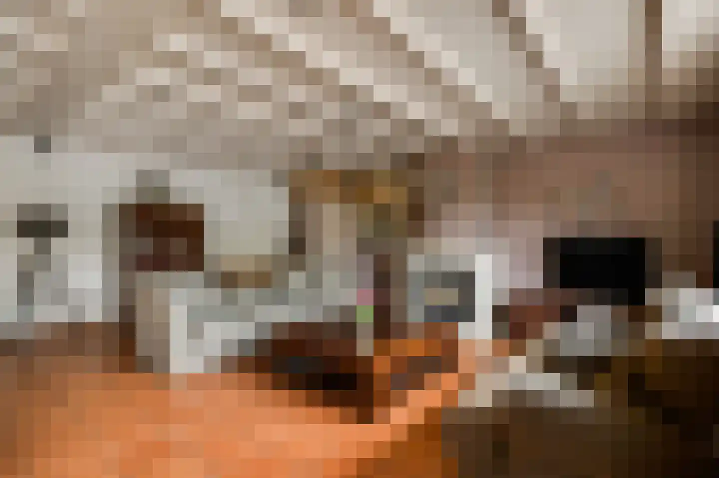 Hammerstraat 8 Herkenbosch thumbnail 9